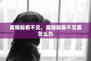 离婚躲着不见，离婚躲着不见面怎么办