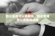 协议离婚可以调解吗，协议离婚可以调解吗法院