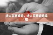 法人可离婚吗，法人可离婚吗现在