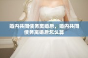 婚内共同债务离婚后，婚内共同债务离婚后怎么算