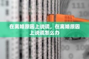 在离婚原因上说谎，在离婚原因上说谎怎么办