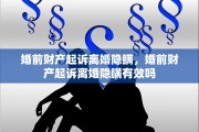 婚前财产起诉离婚隐瞒，婚前财产起诉离婚隐瞒有效吗