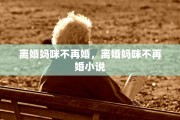 离婚妈咪不再婚，离婚妈咪不再婚小说