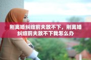 刚离婚纠缠前夫放不下，刚离婚纠缠前夫放不下我怎么办