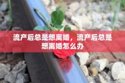 流产后总是想离婚，流产后总是想离婚怎么办