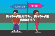 妻子怀孕能离婚吗，妻子怀孕能离婚吗现在