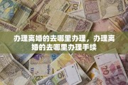 办理离婚的去哪里办理，办理离婚的去哪里办理手续