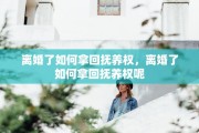 离婚了如何拿回抚养权，离婚了如何拿回抚养权呢