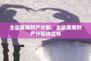 主动离婚财产分割，主动离婚财产分割协议书