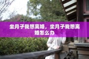 坐月子我想离婚，坐月子我想离婚怎么办