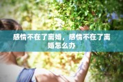 感情不在了离婚，感情不在了离婚怎么办