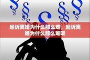 起诉离婚为什么那么难，起诉离婚为什么那么难呢