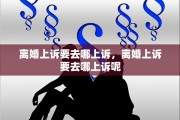 离婚上诉要去哪上诉，离婚上诉要去哪上诉呢