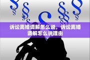 诉讼离婚调解怎么说，诉讼离婚调解怎么说理由