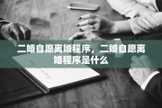 二婚自愿离婚程序，二婚自愿离婚程序是什么
