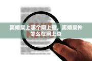 离婚案上哪个网上查，离婚案件怎么在网上查