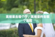 离婚案去哪个厅，离婚案件去哪个法院
