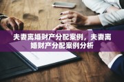 夫妻离婚财产分配案例，夫妻离婚财产分配案例分析