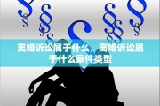 离婚诉讼属于什么，离婚诉讼属于什么案件类型