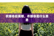农嫁非后离婚，农嫁非是什么意思