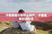 子君离婚分到什么财产，子君离婚时说的话