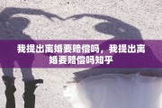 我提出离婚要赔偿吗，我提出离婚要赔偿吗知乎