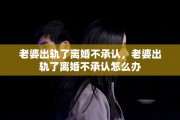 老婆出轨了离婚不承认，老婆出轨了离婚不承认怎么办