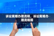 诉讼离婚办理流程，诉讼离婚办理流程图