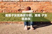离婚子女抚养权分割，离婚 子女抚养权