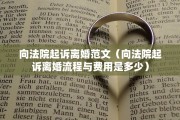 离婚起诉书是谁写，离婚起诉书是谁写的