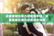 夫妻离婚在哪办理离婚手续，夫妻离婚在哪办理离婚手续呢