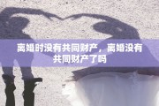 离婚时没有共同财产，离婚没有共同财产了吗