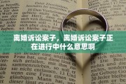 离婚诉讼案子，离婚诉讼案子正在进行中什么意思啊