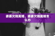 婆婆欠钱离婚，婆婆欠钱离婚怎么办