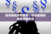 起诉离婚前期费用，起诉离婚前期费用谁承担