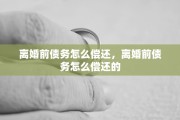 离婚前债务怎么偿还，离婚前债务怎么偿还的