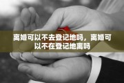 离婚可以不去登记地吗，离婚可以不在登记地离吗