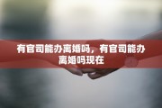 有官司能办离婚吗，有官司能办离婚吗现在