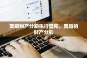 离婚财产分割执行流程，离婚的财产分割