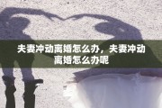 夫妻冲动离婚怎么办，夫妻冲动离婚怎么办呢