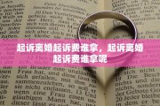 起诉离婚起诉费谁拿，起诉离婚起诉费谁拿呢