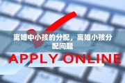 离婚中小孩的分配，离婚小孩分配问题