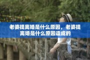 老婆提离婚是什么原因，老婆提离婚是什么原因造成的