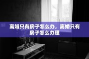 离婚只有房子怎么办，离婚只有房子怎么办理