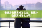 老婆冲动要离婚怎么办，老婆冲动要离婚怎么办呢
