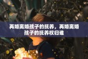 再婚离婚孩子的抚养，再婚离婚孩子的抚养权归谁