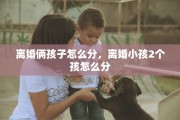 离婚俩孩子怎么分，离婚小孩2个孩怎么分