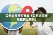 查询离婚资料，查询离婚资料怎么查