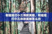 帮姐姐打小三导致离婚，帮姐姐打小三导致离婚怎么办