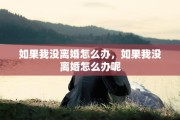 如果我没离婚怎么办，如果我没离婚怎么办呢